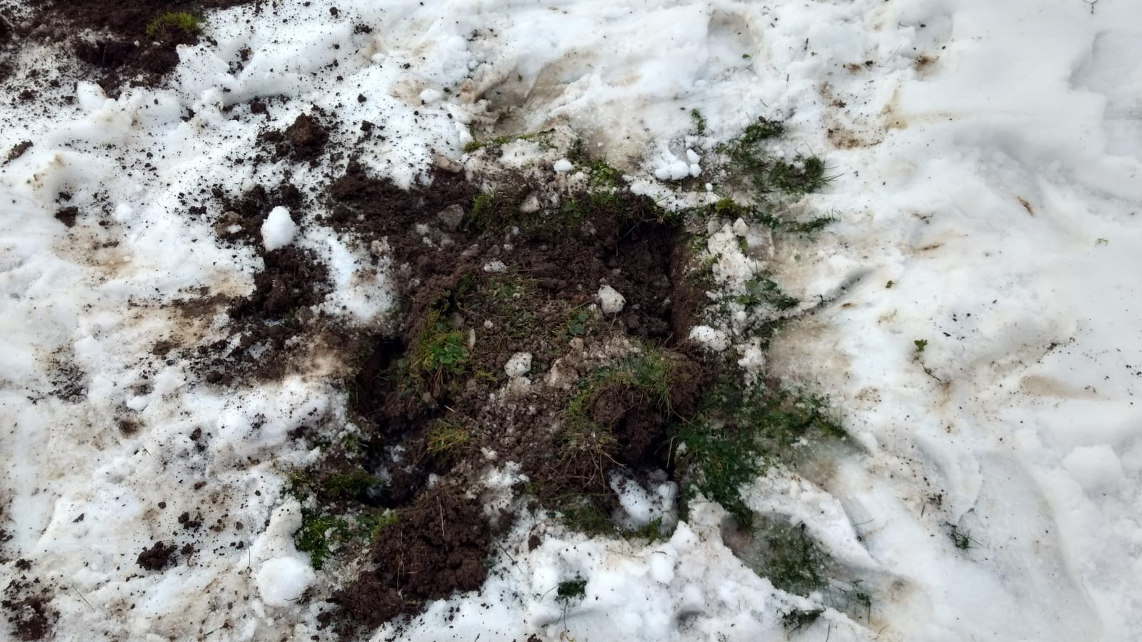 Erstes Loch für das Fundament